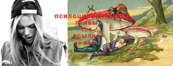 твердый Баксан